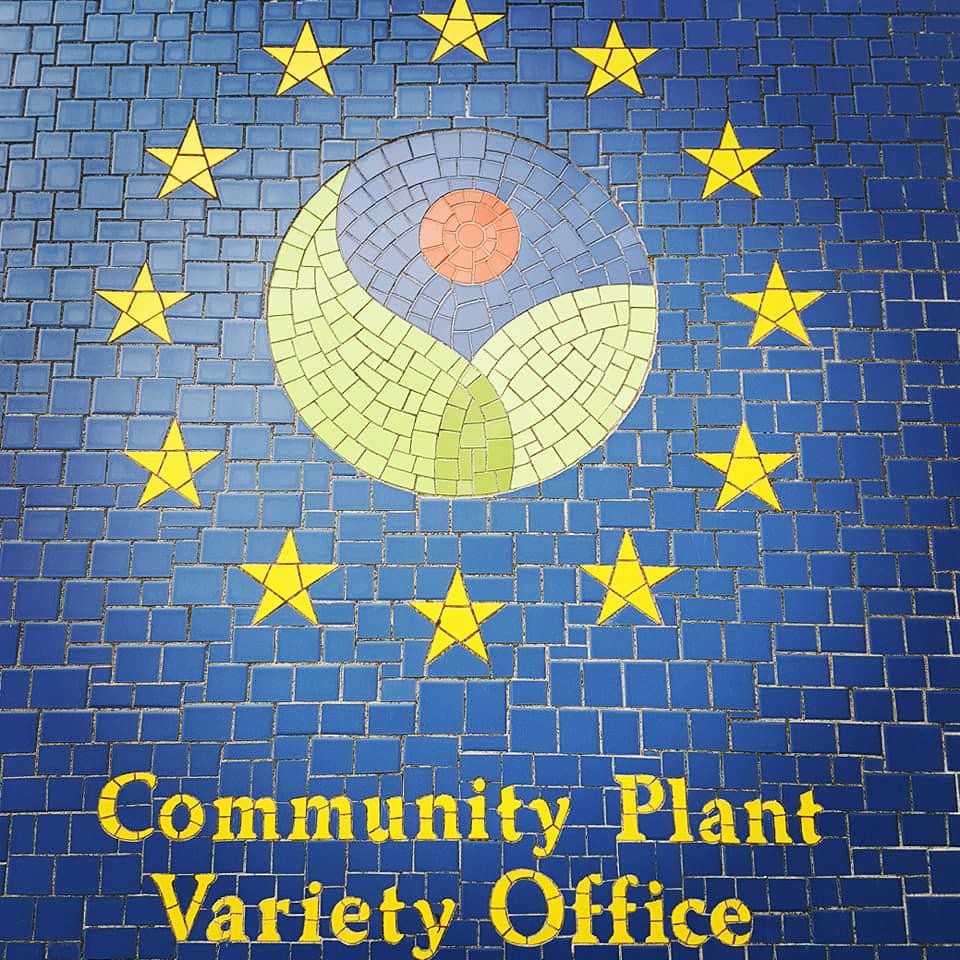 Mardi 19 mars 2019, DJAZ WEST DUO jouait à Angers (49) lors d'un cocktail dinatoire pour et dans les locaux de l'Entreprise CPVO.