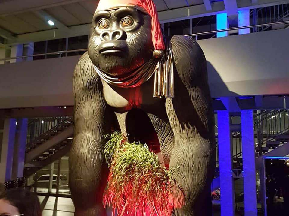 Samedi 07 décembre 2019, le groupe ONLY NEW JAZZ BAND était en formule Trio au Quai à Angers, pour Les Instants Coteaux du Layon !