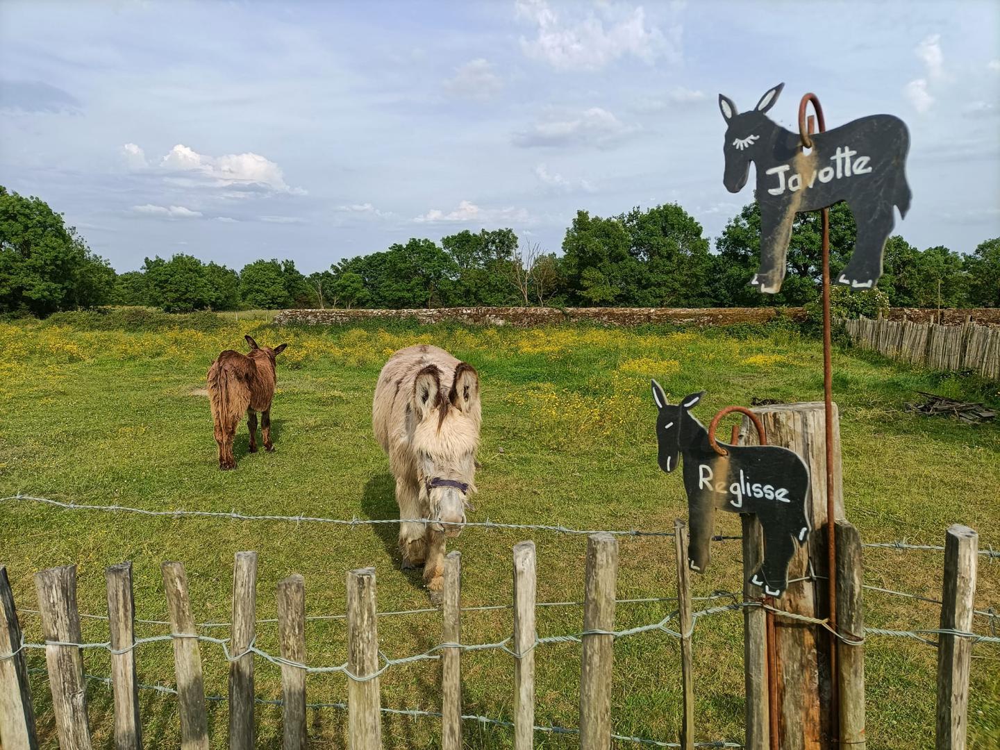 Samedi 14 mai 2022, le groupe SAMOVAR SWING DUO était au Domaine de Guermiton à Frossay (44), pour l'animation d'un mariage !